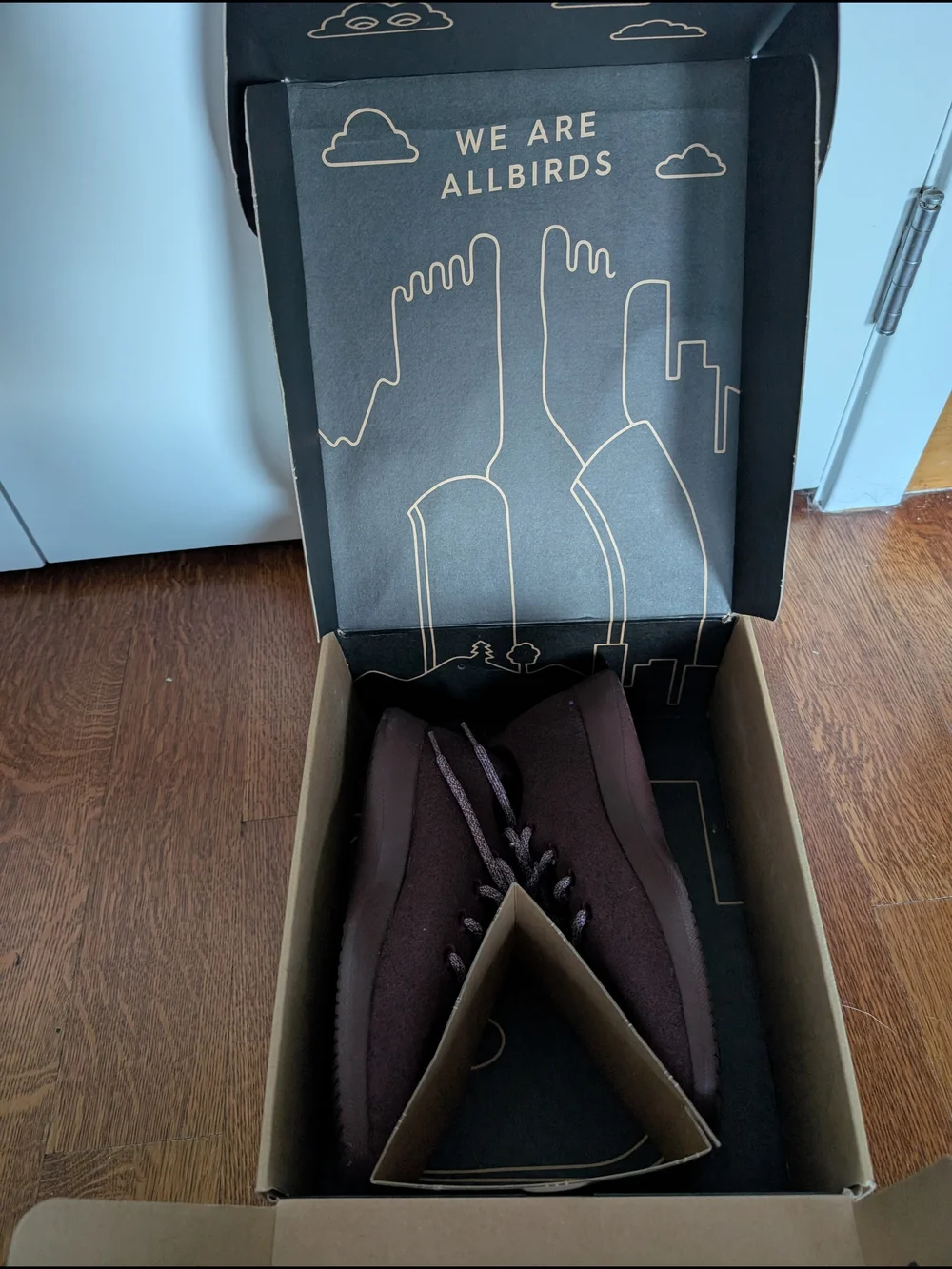 Allbirds Men's Wool Sneakers in Maroon New In Box Mens Size 9
